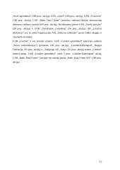 Įmonės veiklos analizė: telekomunikacijos AB "Lietuvos Telekomas" 15 puslapis