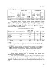 Įmonės veiklos ekonominių rodiklių apskaičiavimas 11 puslapis