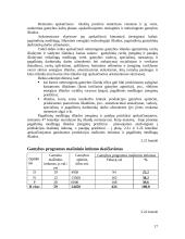 Įmonės veiklos ekonominių rodiklių apskaičiavimas 17 puslapis