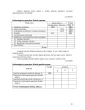 Įmonės veiklos ekonominių rodiklių apskaičiavimas 20 puslapis
