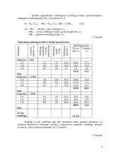 Įmonės veiklos ekonominių rodiklių apskaičiavimas 4 puslapis