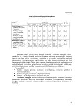 Įmonės veiklos ekonominių rodiklių apskaičiavimas 6 puslapis