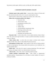 Įmonės verslo rizika ir jos mažinimo galimybės: baldų gamyba UAB "Minija" 13 puslapis