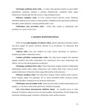 Įmonės verslo rizika ir jos mažinimo galimybės: baldų gamyba UAB "Minija" 14 puslapis