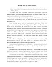 Įmonės verslo rizika ir jos mažinimo galimybės: baldų gamyba UAB "Minija" 4 puslapis