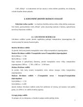 Įmonės verslo rizika ir jos mažinimo galimybės: baldų gamyba UAB "Minija" 7 puslapis