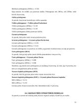 Įmonės verslo rizika ir jos mažinimo galimybės: baldų gamyba UAB "Minija" 10 puslapis