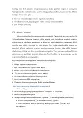 Įmonių organizavimas ir valdymas: betono gaminių gamyba TŪB "Betonynas" 11 puslapis