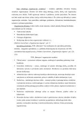 Įmonių organizavimas ir valdymas: betono gaminių gamyba TŪB "Betonynas" 13 puslapis