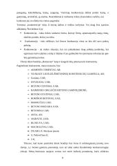 Įmonių organizavimas ir valdymas: betono gaminių gamyba TŪB "Betonynas" 8 puslapis