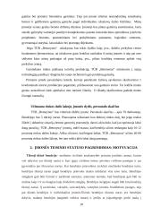 Įmonių organizavimas ir valdymas: betono gaminių gamyba TŪB "Betonynas" 10 puslapis