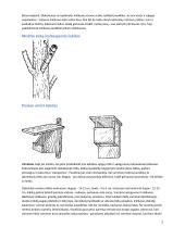 Inkilas. Inkilų gamyba 5 puslapis