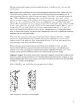 Inkilas. Inkilų gamyba 6 puslapis