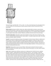 Inkilas. Inkilų gamyba 7 puslapis