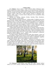 Jonavos miesto įvertinimas ekologiniu aspektu 5 puslapis