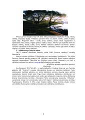 Jonavos miesto įvertinimas ekologiniu aspektu 8 puslapis