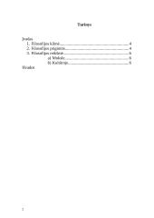 Kas yra filosofija. Kilmė, prigimtis, reikšmė 2 puslapis