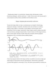 Kelio ir automobilio sąveika 7 puslapis