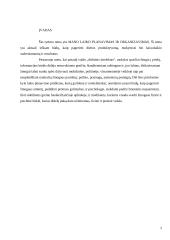 Laiko planavimas ir organizavimas 2 puslapis