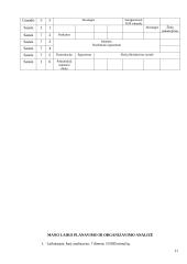 Laiko planavimas ir organizavimas 11 puslapis