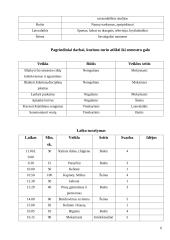 Laiko planavimas ir organizavimas 6 puslapis