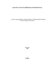 Laisvės, kaip pagrindinės vertybės iškėlimas J.S. Mill politinėje filosofijoje
