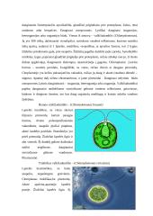 Lietuvos maurakulainių botaninė įvairovė ir paplitimas 4 puslapis