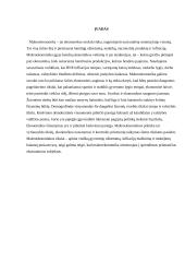 Biudžetinė politika, eksportas ir importas 3 puslapis