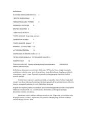 Simbolizmas ir V. M. Putinas