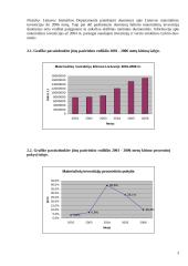 Materialinės investicijos 2 puslapis