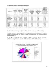 Materialinės investicijos 4 puslapis