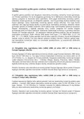 Materialinės investicijos 5 puslapis