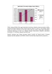 Materialinės investicijos 6 puslapis