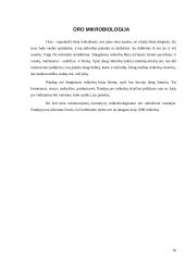 Mikrobiologijos esmė ir pagrindai 11 puslapis