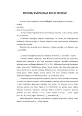 Mikrobiologijos esmė ir pagrindai 5 puslapis