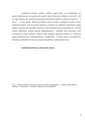 Mikrobiologijos esmė ir pagrindai 9 puslapis