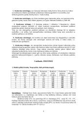 Optimalaus išteklių derinimo parinkimas 4 puslapis
