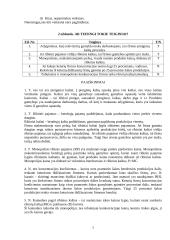 Mikroekonomikos nesunkūs uždaviniai 7 puslapis