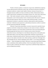 Nuolatinio mokymosi strategijos 6 puslapis