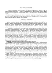 Organizmų prisitaikymai plisti pasauliniame vandenyne: Gyvūnų judėjimas 2 puslapis