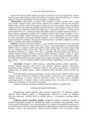 Organizmų prisitaikymai plisti pasauliniame vandenyne: Gyvūnų judėjimas 3 puslapis