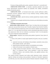 Pagrindiniai tarptautinės viešosios teisės bruožai ir jos skirtumai nuo nacionalinės teisės 2 puslapis