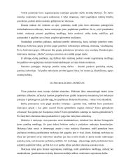 Pamokos analizė: Baltų mitologija lietuvių sakmėse 2 puslapis