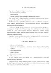 Pamokos analizė: Baltų mitologija lietuvių sakmėse 3 puslapis