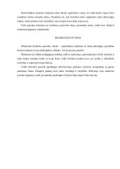 Pamokos analizė: Baltų mitologija lietuvių sakmėse 4 puslapis