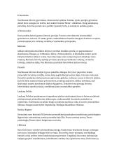 Visų lietuvių literatūros autorių kūrimo ypatumai