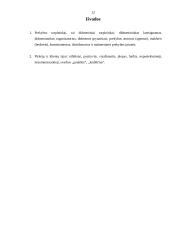 Prekybos tarpininkų darbo ypatumai aptarnaujant skirtingus klientus 12 puslapis