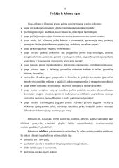 Prekybos tarpininkų darbo ypatumai aptarnaujant skirtingus klientus 9 puslapis