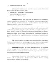 Prekybos tarpininkų darbo ypatumai aptarnaujant skirtingus klientus 10 puslapis