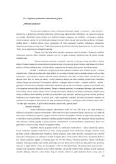 Priklausomybės nuo narkotikų priežastys, pasekmės, gydymas ir reabilitacija 11 puslapis